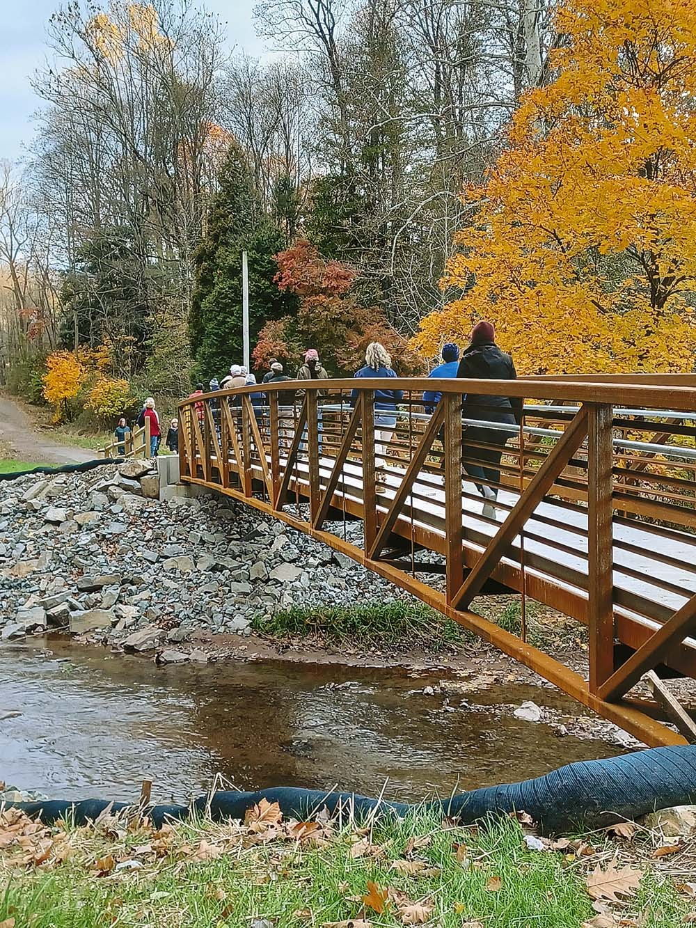 Next “Weekend” 10-Miler: December 26 at Rustic Park! – Pagoda Pacers News